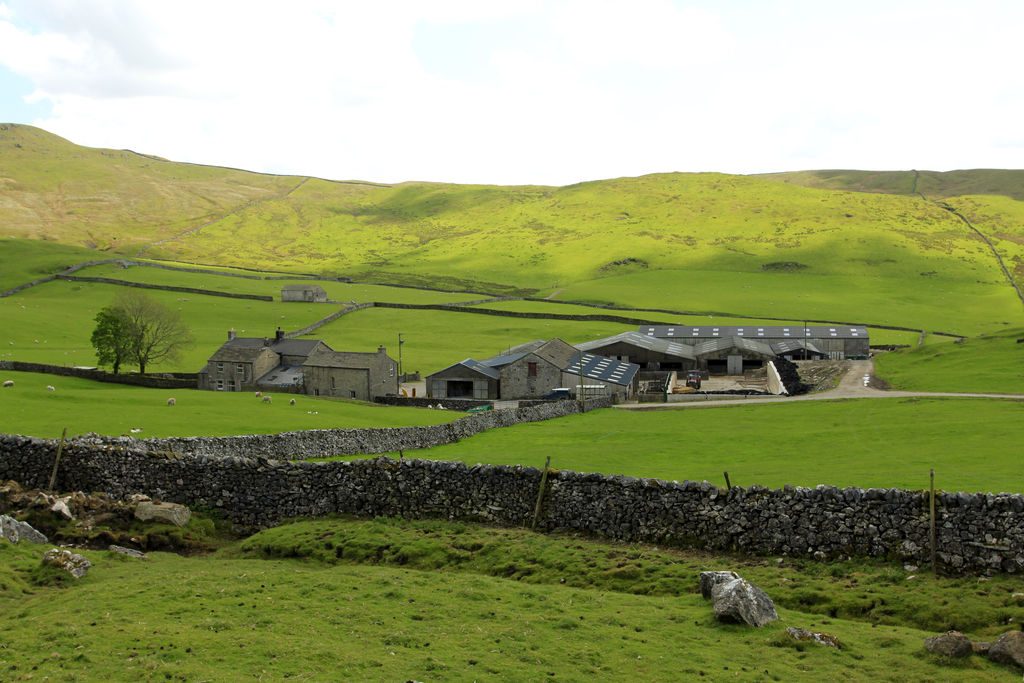 England - Yorkshire dales 040