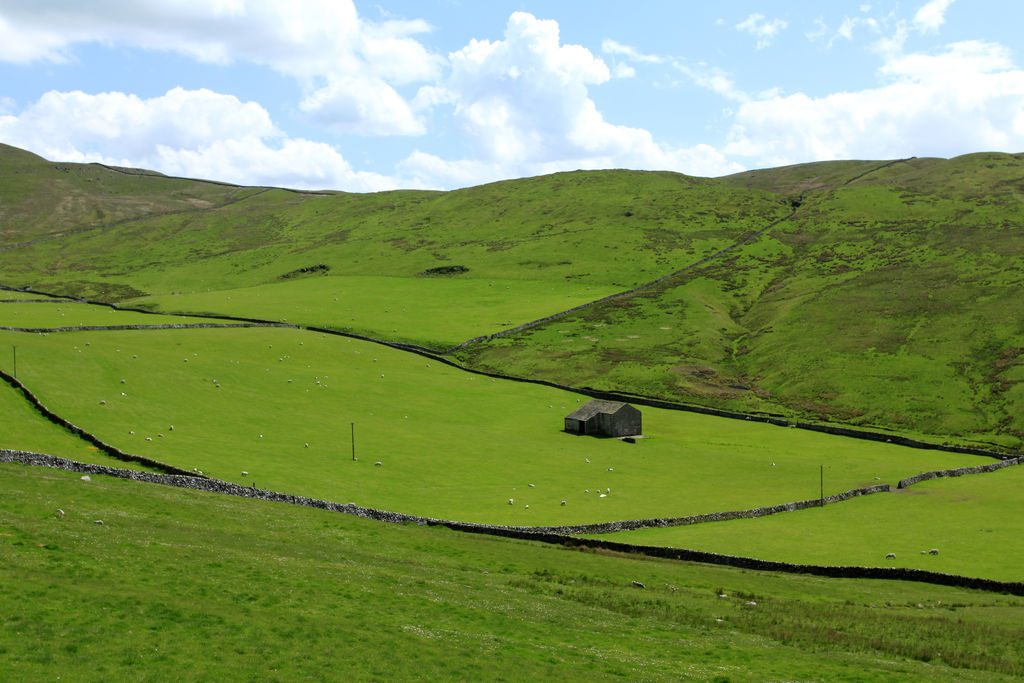England - Yorkshire dales 041