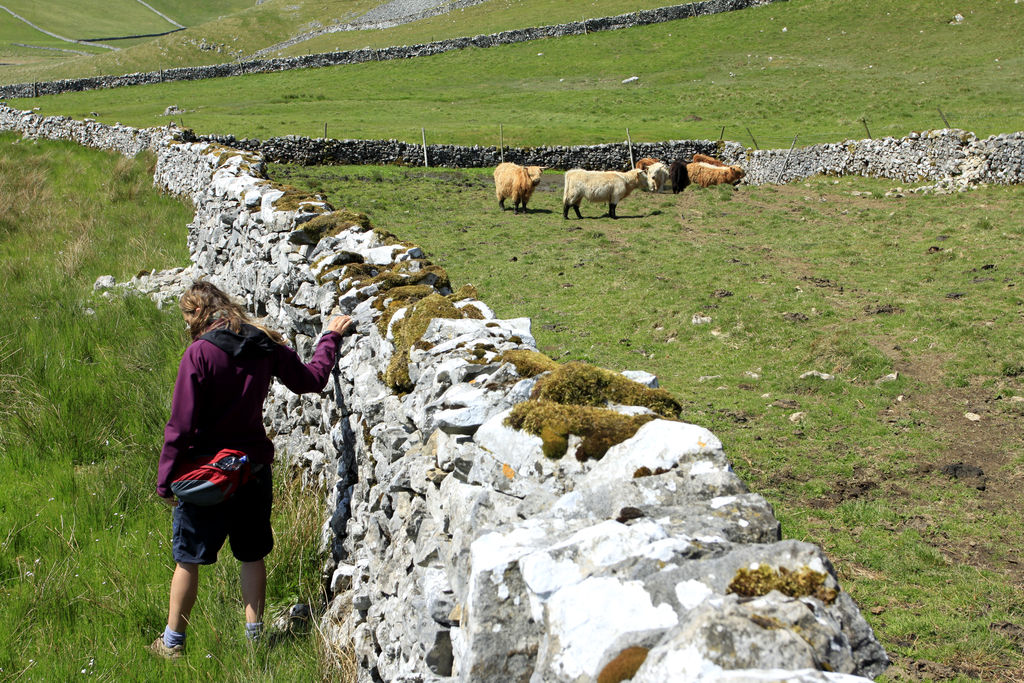 England - Yorkshire dales 044