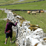 England - Yorkshire dales 044