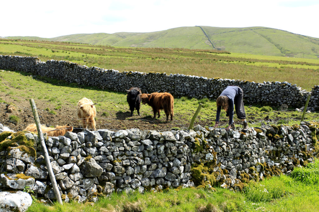 England - Yorkshire dales 045