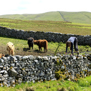England - Yorkshire dales 045