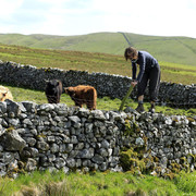 England - Yorkshire dales 046