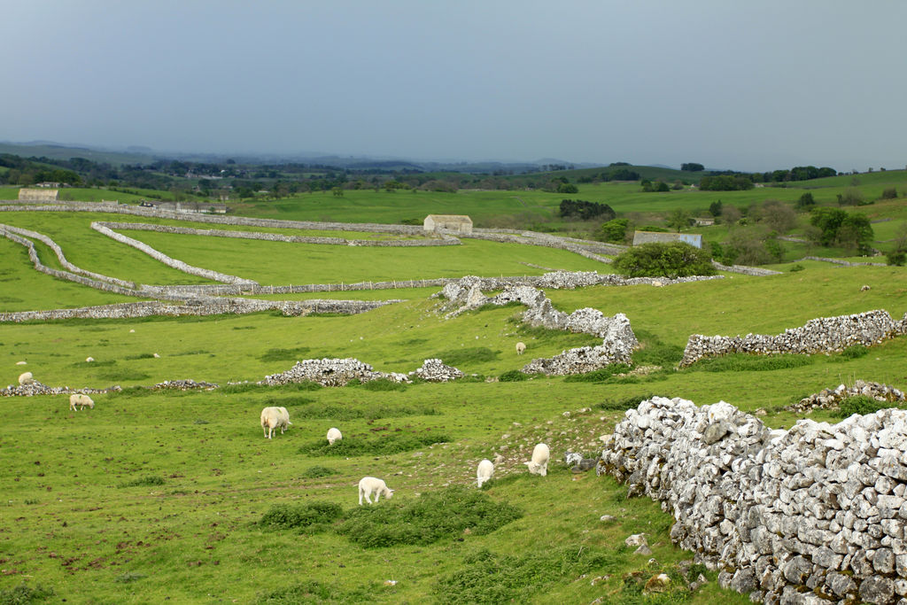 England - Yorkshire dales 054