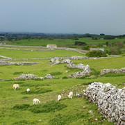 England - Yorkshire dales 054