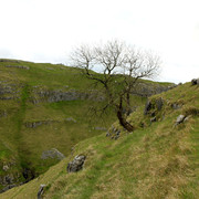 England - Yorkshire dales - Gordale Scar 010