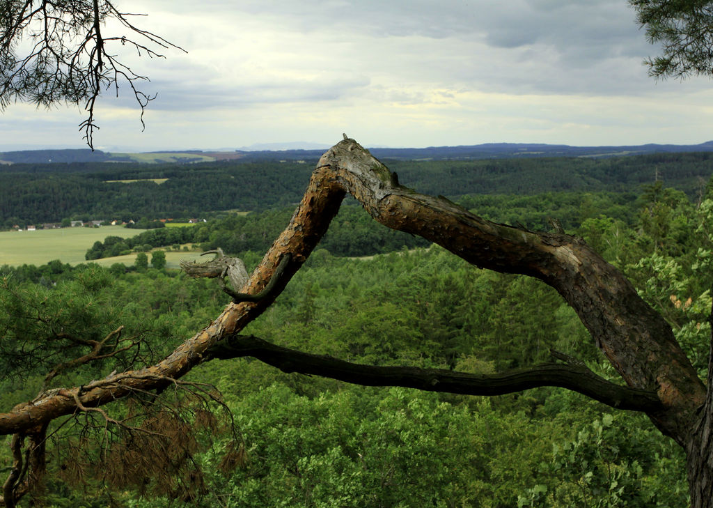 Czechia - Petrohrad bouldering 50