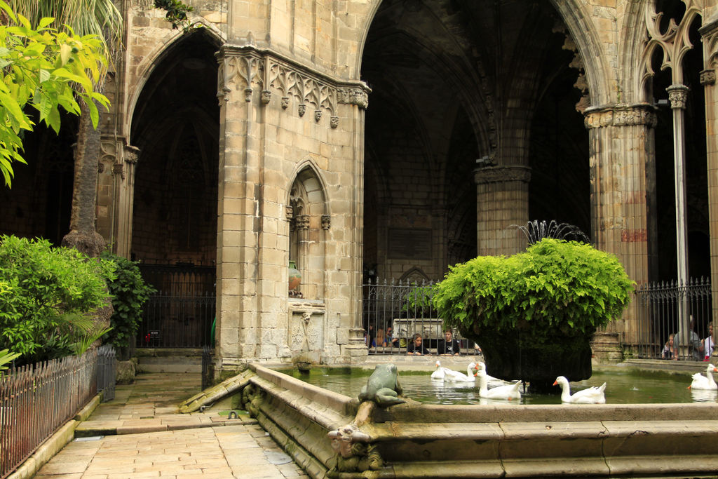 Spain - Barcelona - inside the Cathedral cloister