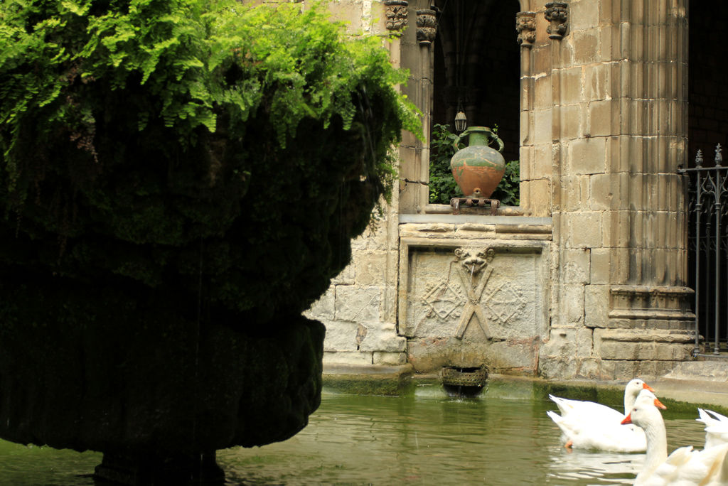 Spain - Barcelona - the Cathedral cloister