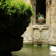 Spain - Barcelona - the Cathedral cloister