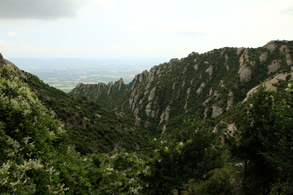 Spain - Montserrat 06