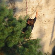 Czechia - climbing in Adrspach-Teplice rocks 56