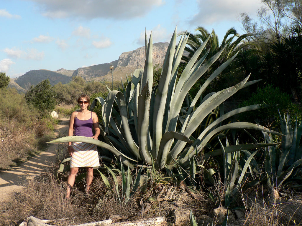 Mallorca - Wierka in Colonia de Sant Pere