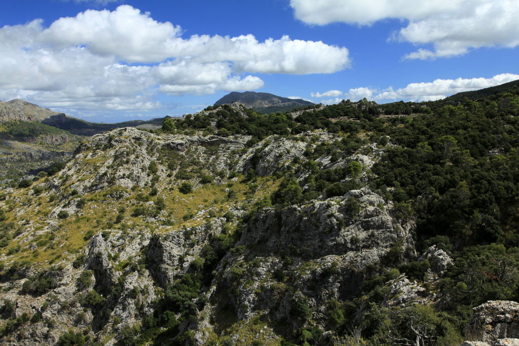 Mallorca - on the way to Sa Calobra 03