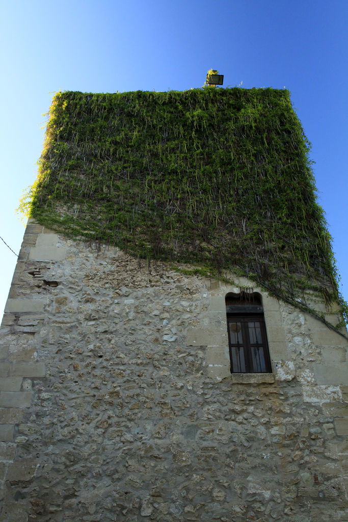 Mallorca - Pollença 04