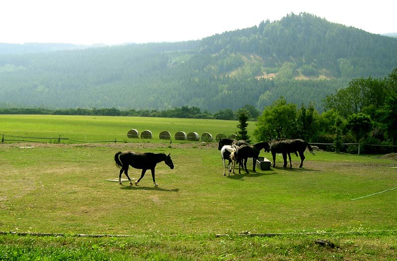 Czechia - Kozelka ranch
