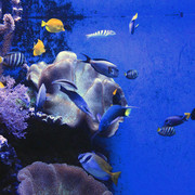 Mallorca - Palma Aquarium 12