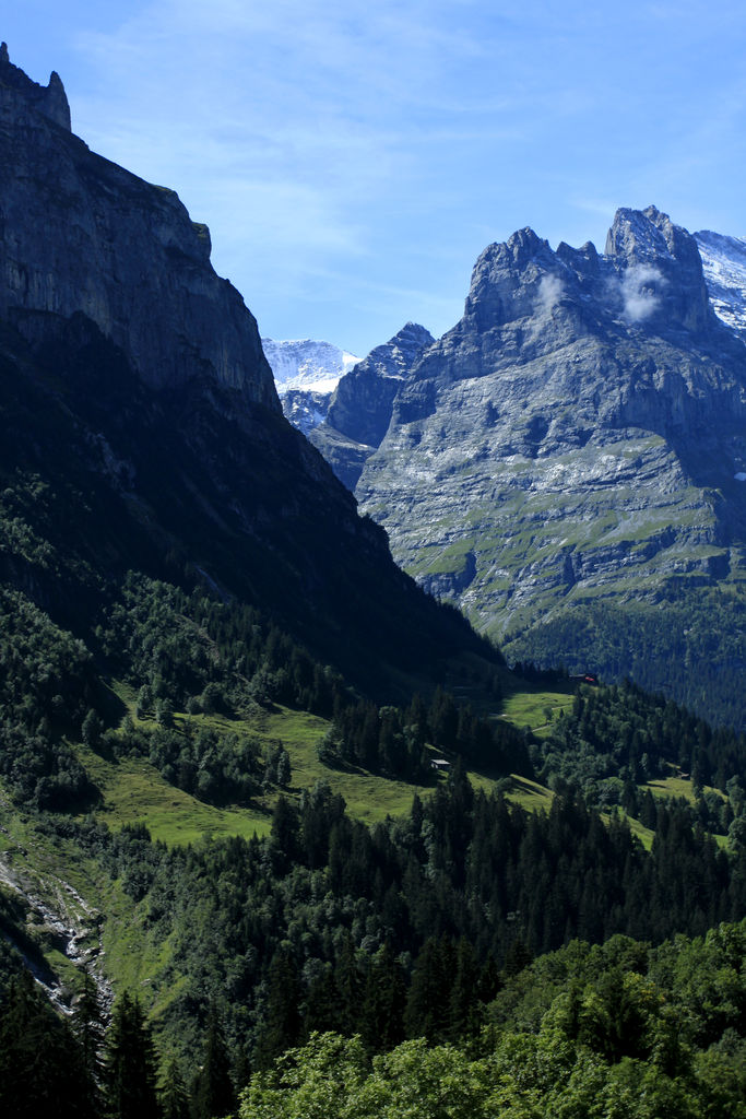 The Swiss Alps - Jungfrau Region 08