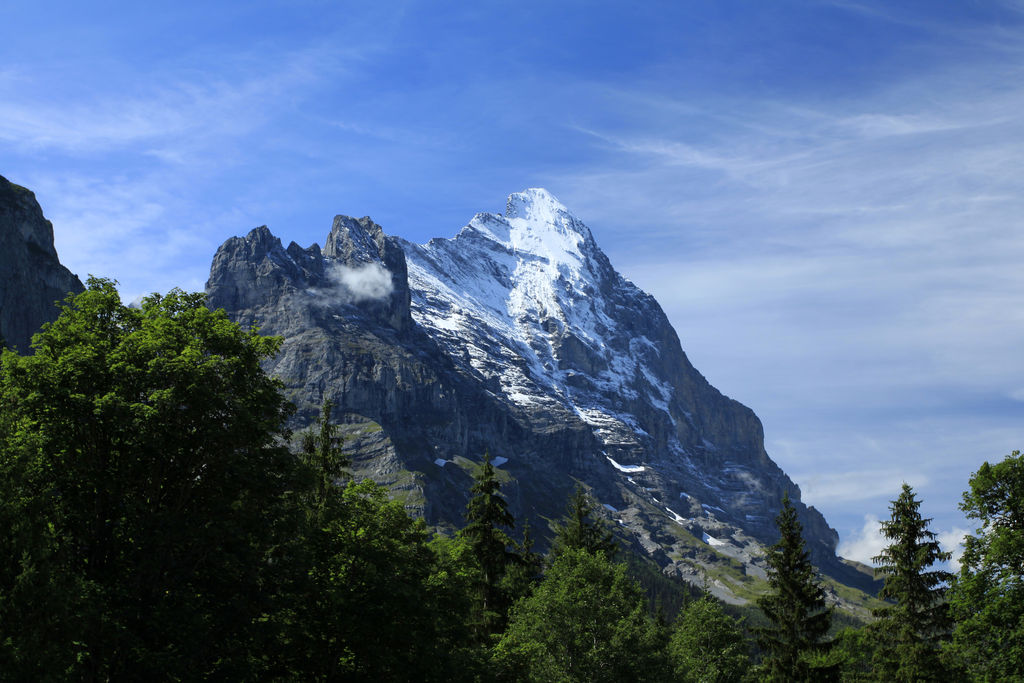 The Swiss Alps - Jungfrau Region 11