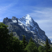 The Swiss Alps - Jungfrau Region 11