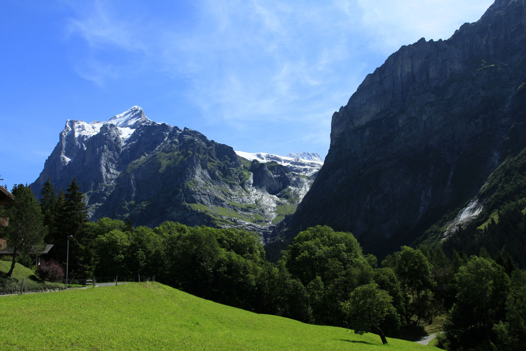 The Swiss Alps - Jungfrau Region 14