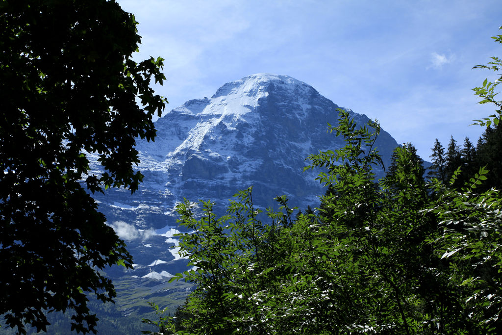 The Swiss Alps - Jungfrau Region 17