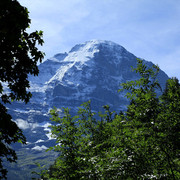 The Swiss Alps - Jungfrau Region 17