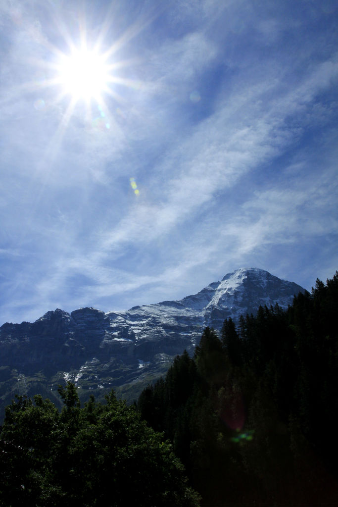 The Swiss Alps - Jungfrau Region 19