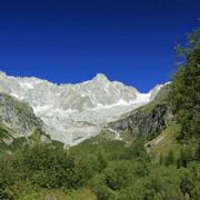 The Swiss Alps - Val Ferret Region 02