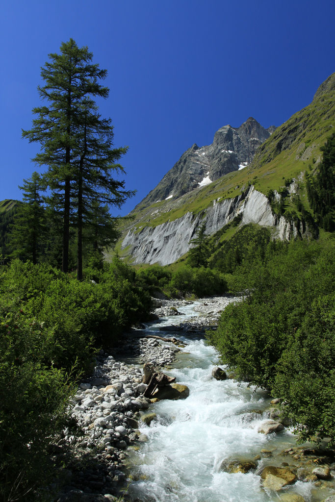 The Swiss Alps - Val Ferret Region 05