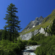 The Swiss Alps - Val Ferret Region 05