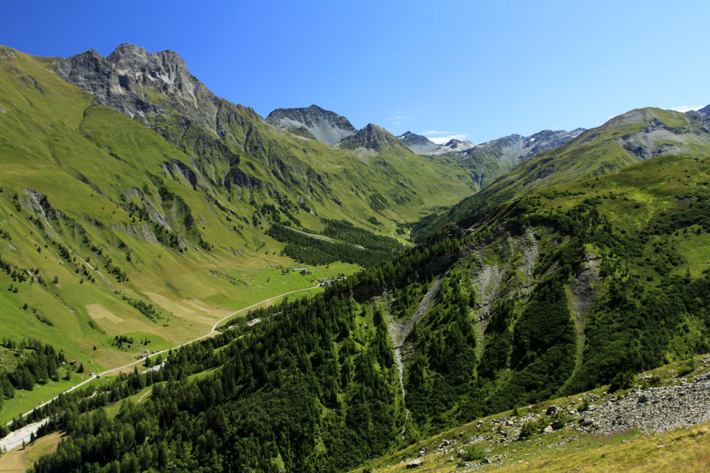 The Swiss Alps - Val Ferret Region 08