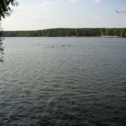 Czechia - a lake near Pilsen (Plzeň)