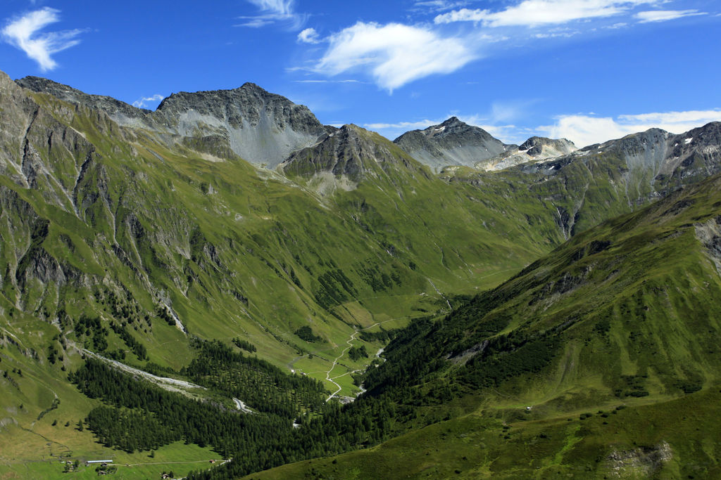 The Swiss Alps - Val Ferret Region 11