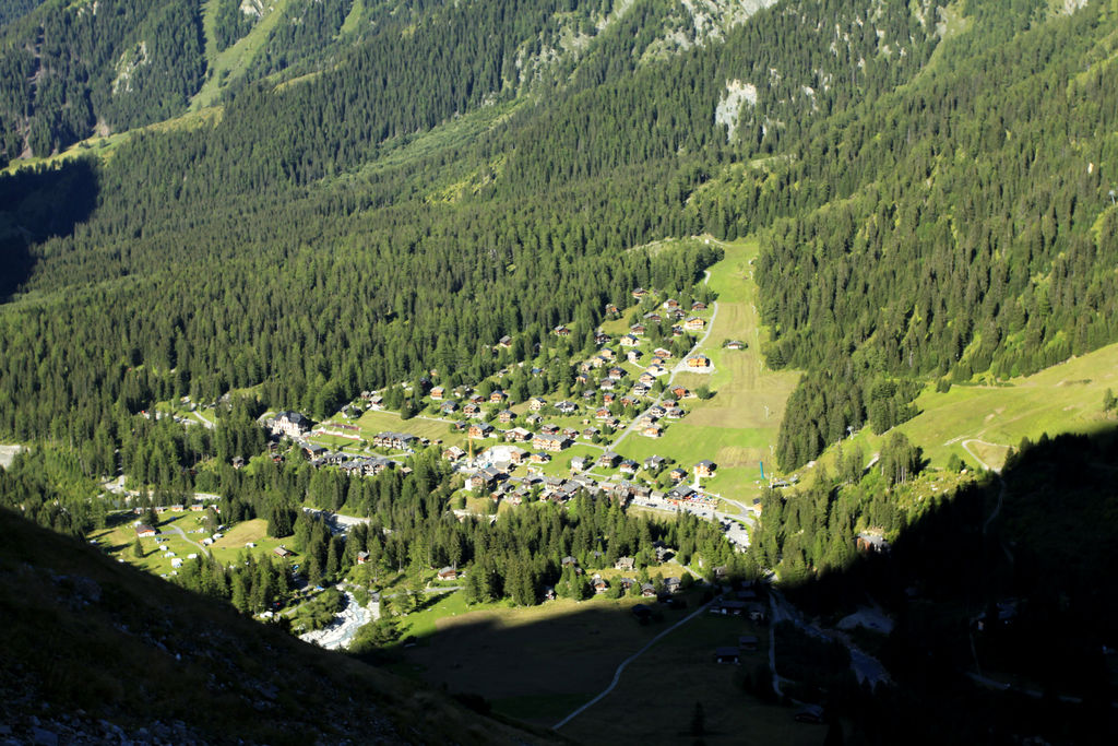 The Swiss Alps - Val Ferret Region 15