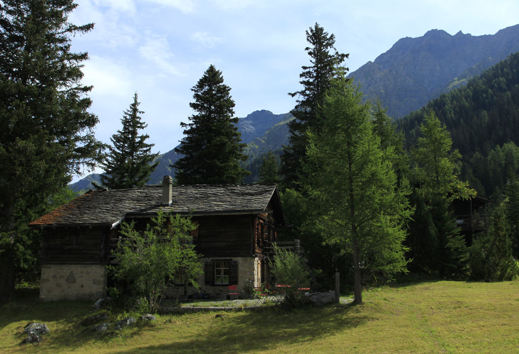 The Swiss Alps - Val Ferret Region - La Fouly 02