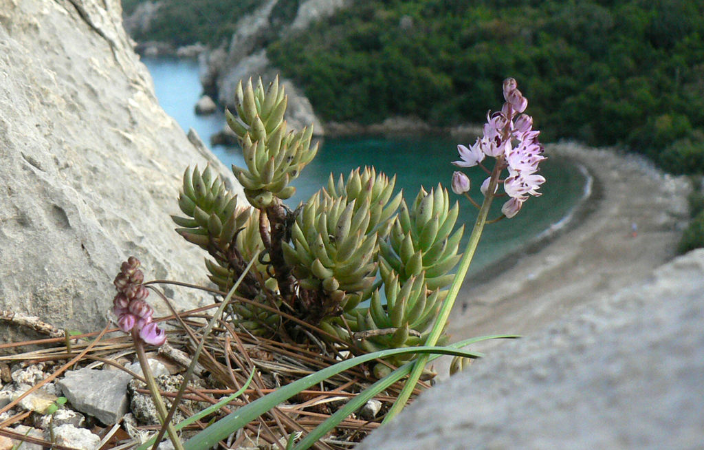 Turkey - Olympos 11.