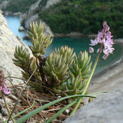 Turkey - Olympos 11.