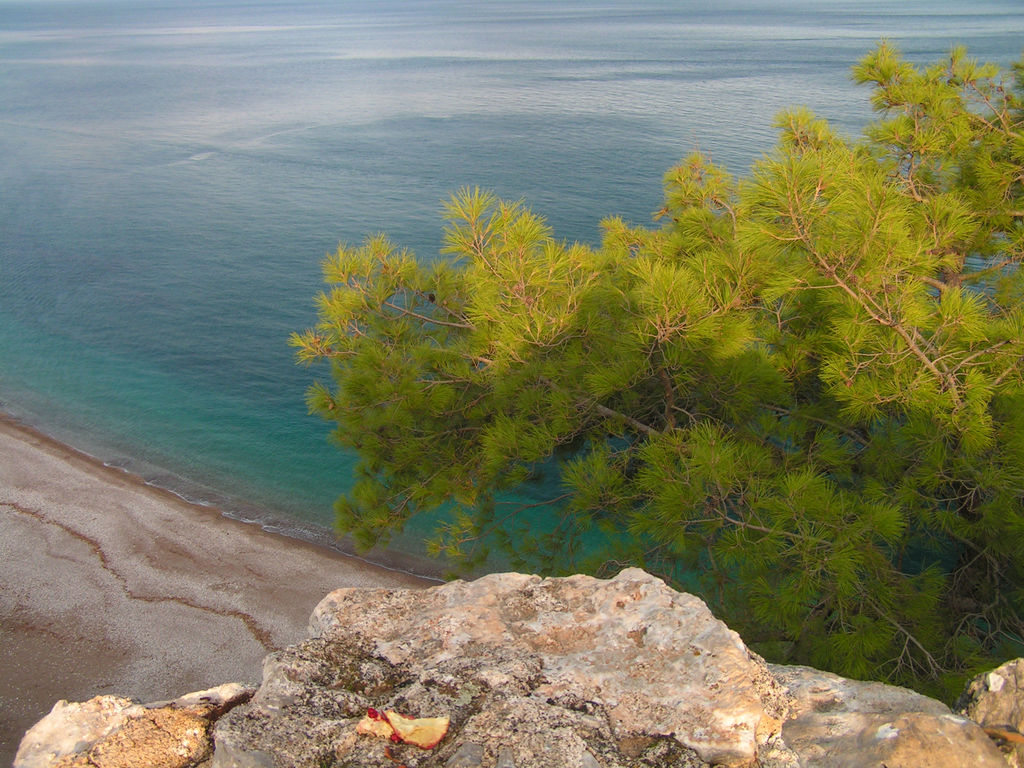 Turkey - Olympos 16