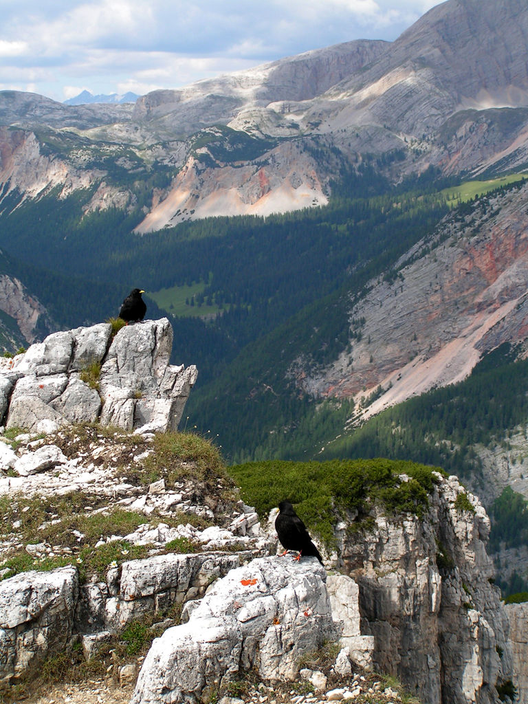 Italian Dolomites - Via Ferrata Col Rosa 36