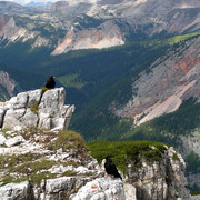 Italian Dolomites - Via Ferrata Col Rosa 36