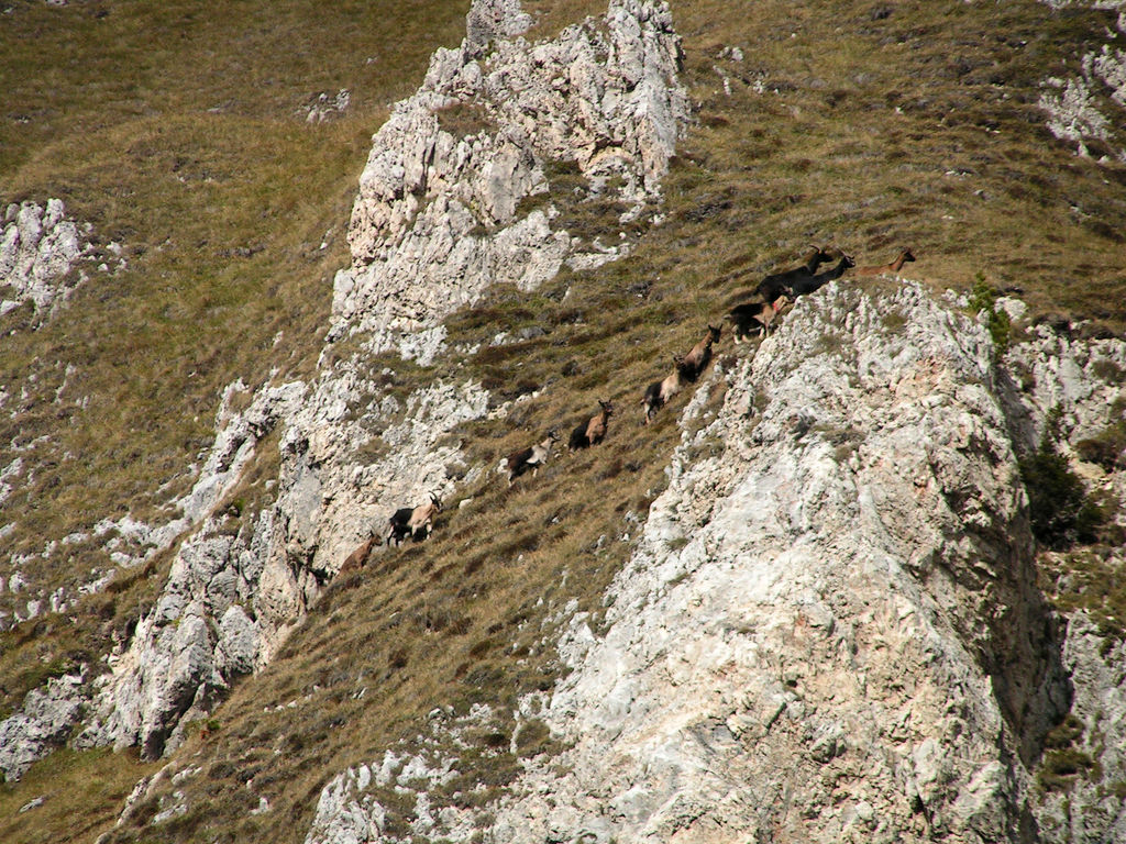 Italian Dolomites - Ferrata Dellee Trincee 03