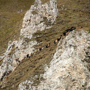 Italian Dolomites - Ferrata Dellee Trincee 03