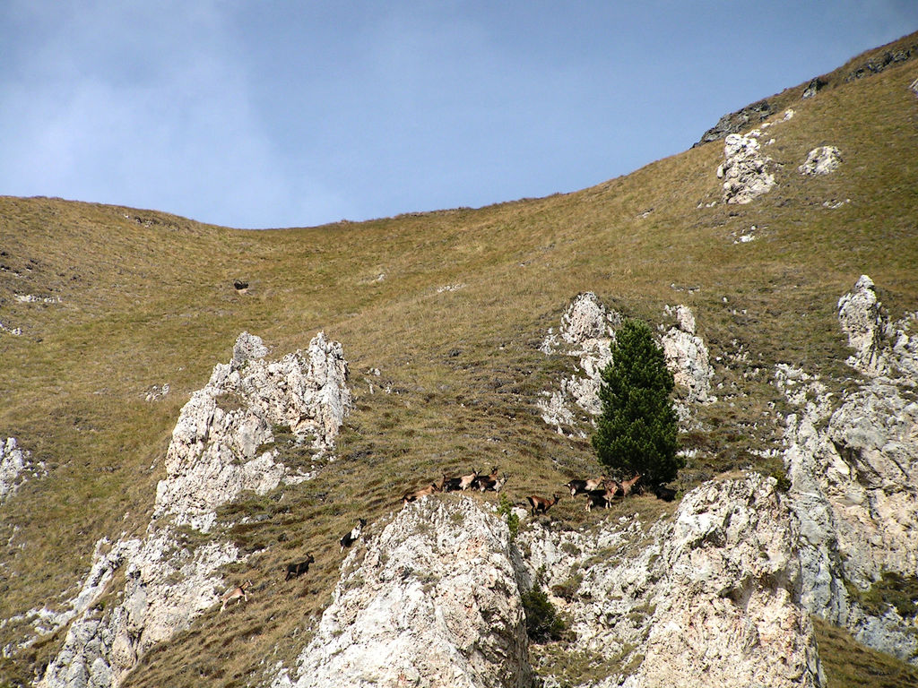 Italian Dolomites - Ferrata Dellee Trincee 04