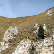 Italian Dolomites - Ferrata Dellee Trincee 04