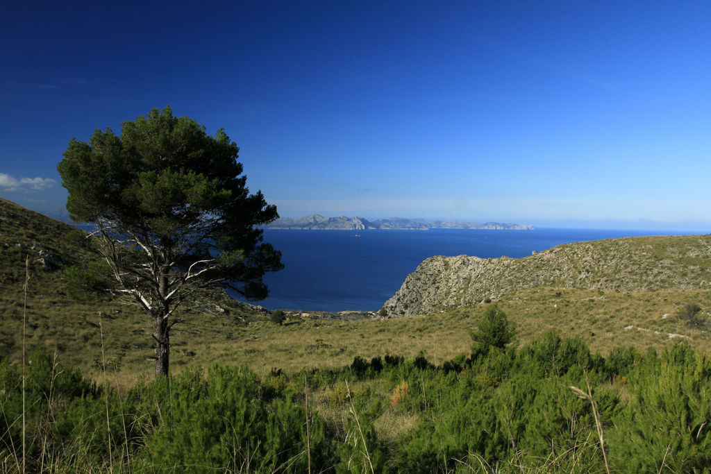 Mallorca - trekking in the Serra d'Arta 02