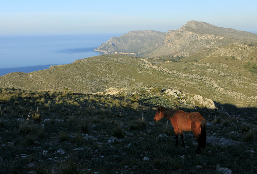 Mallorca - the Serres de Llevant 02