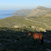 Mallorca - the Serres de Llevant 02