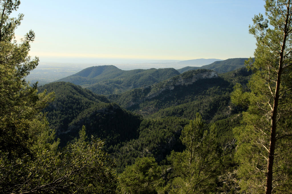 Mallorca - views from Alaro
