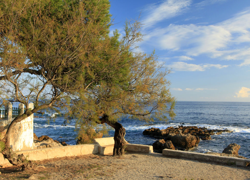 Mallorca - Cala Ratjada 04